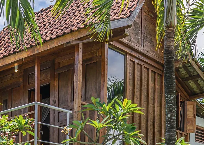Palm Tree - Huge 4bd Center Villa