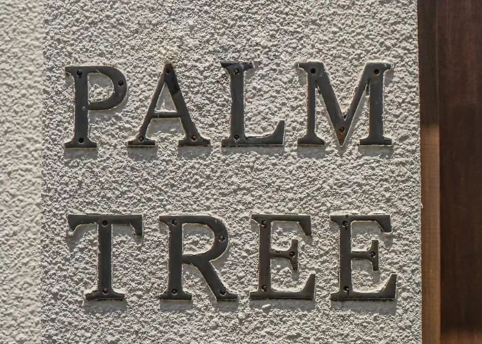 Palm Tree - Huge 4bd Center