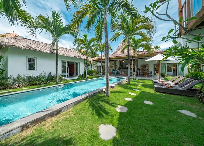 Palm Tree - Huge 4bd Center