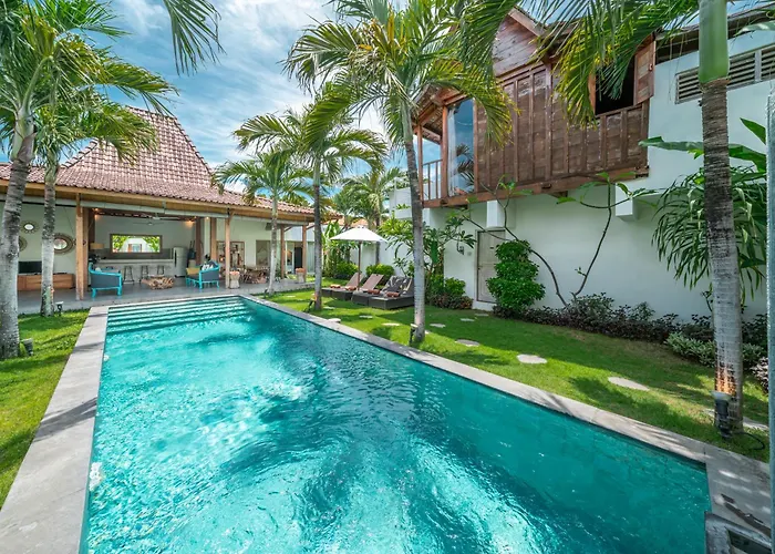 Palm Tree - Huge 4bd Center *