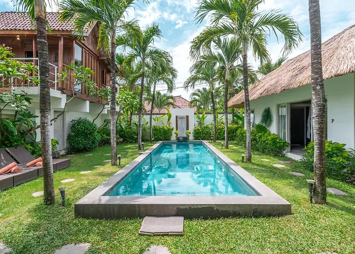 Palm Tree - Huge 4bd Center Villa
