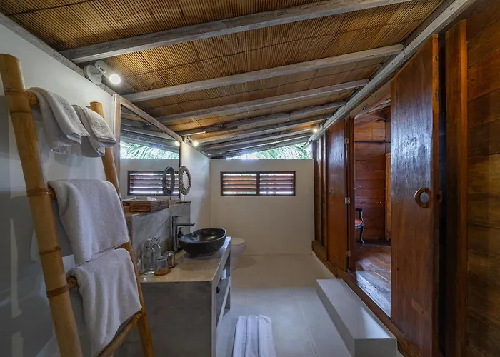 Palm Tree - Huge 4bd Center ヴィラ